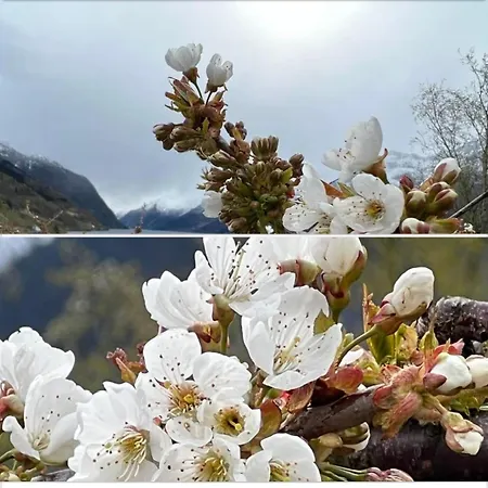 Fjordview 35 Apartament *